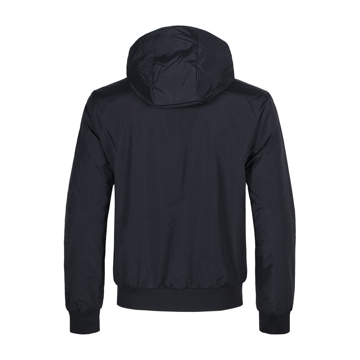 EMPORIO ARMANI EA7 FW24 Logo