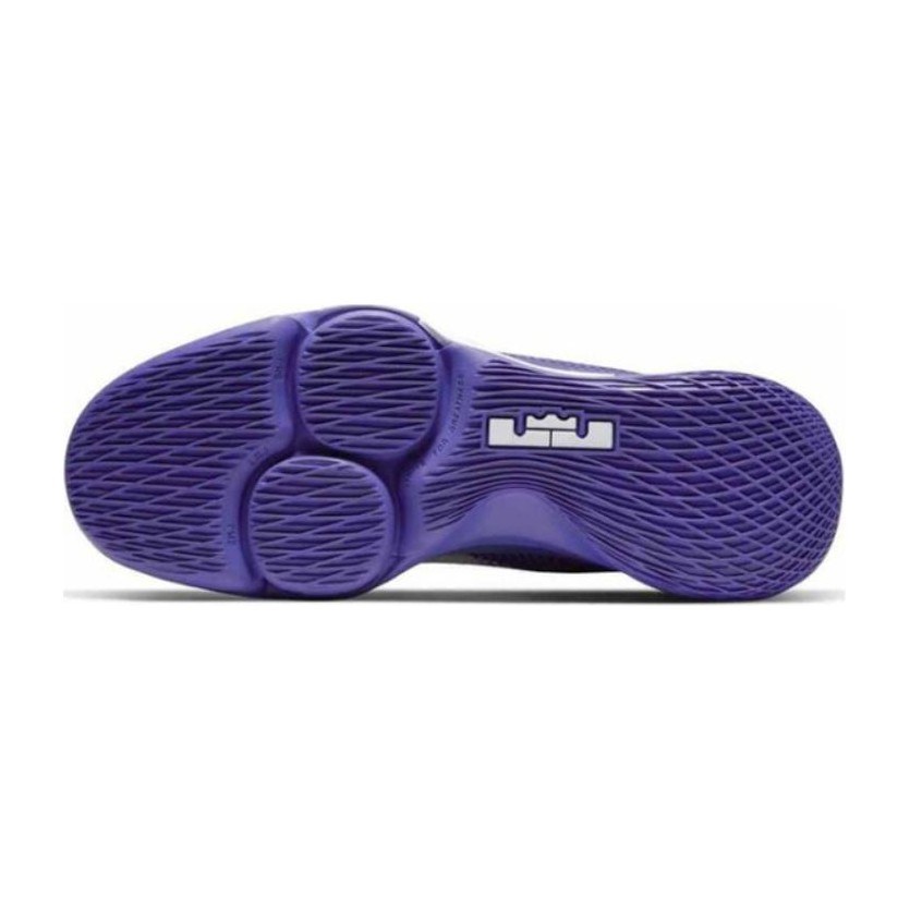 Nike Witness 4 LeBron EP