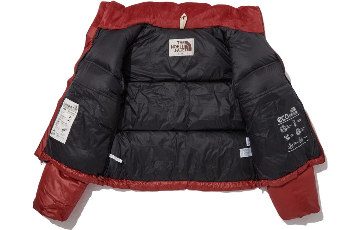 The North Face Novelty Nuptse Down Jacket