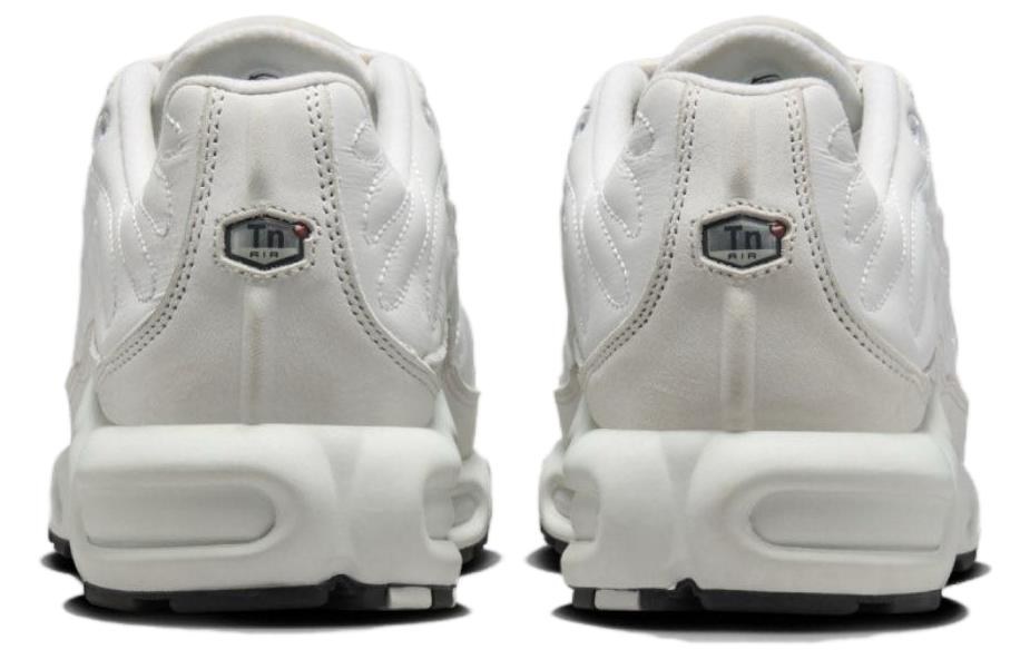 Nike Air Max Plus White