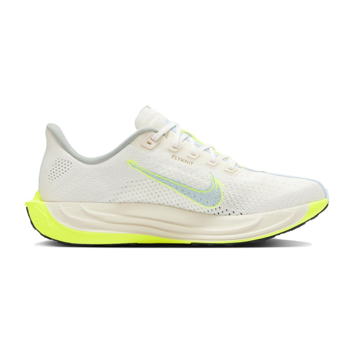 Nike Pegasus Plus