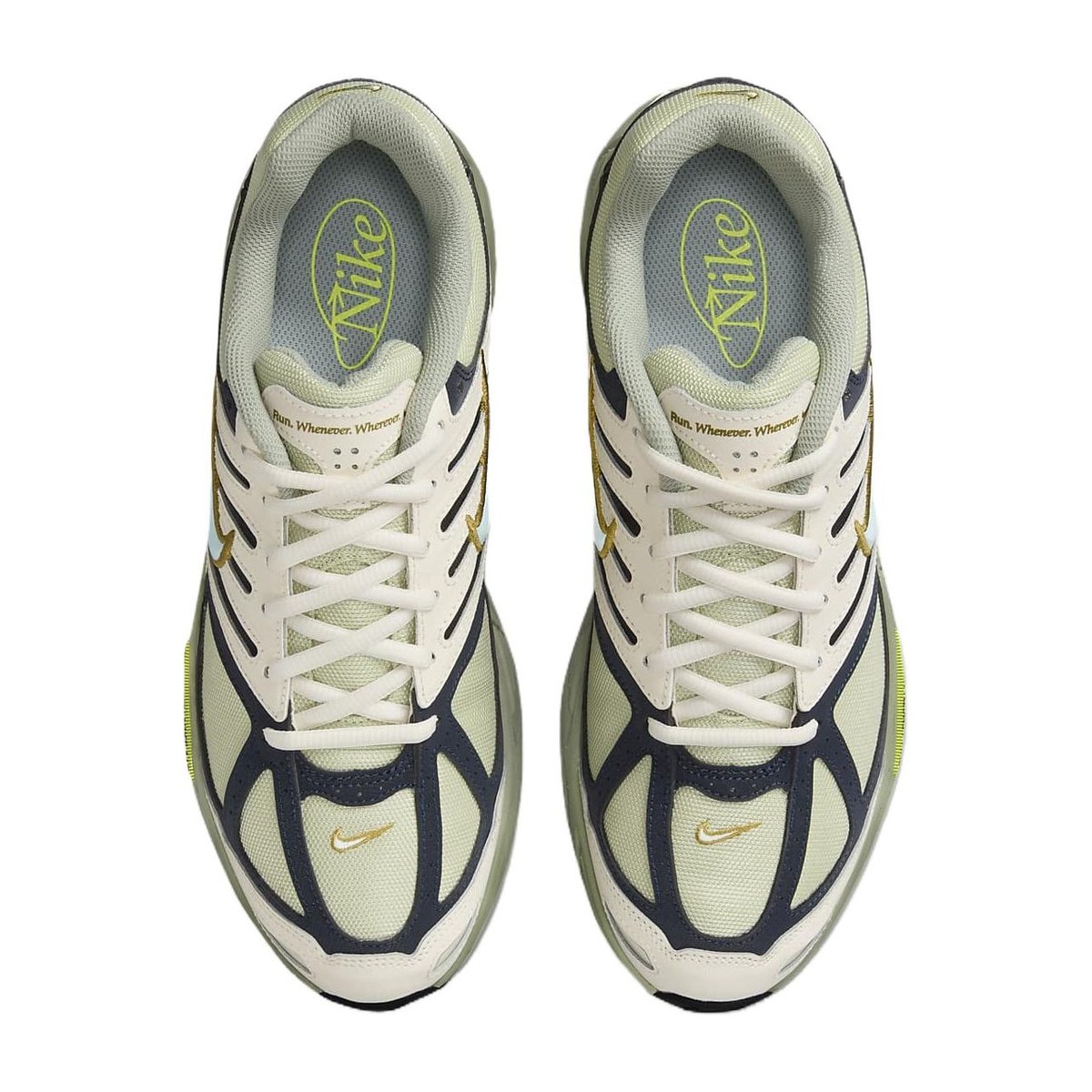 Nike Air Pegasus 2005