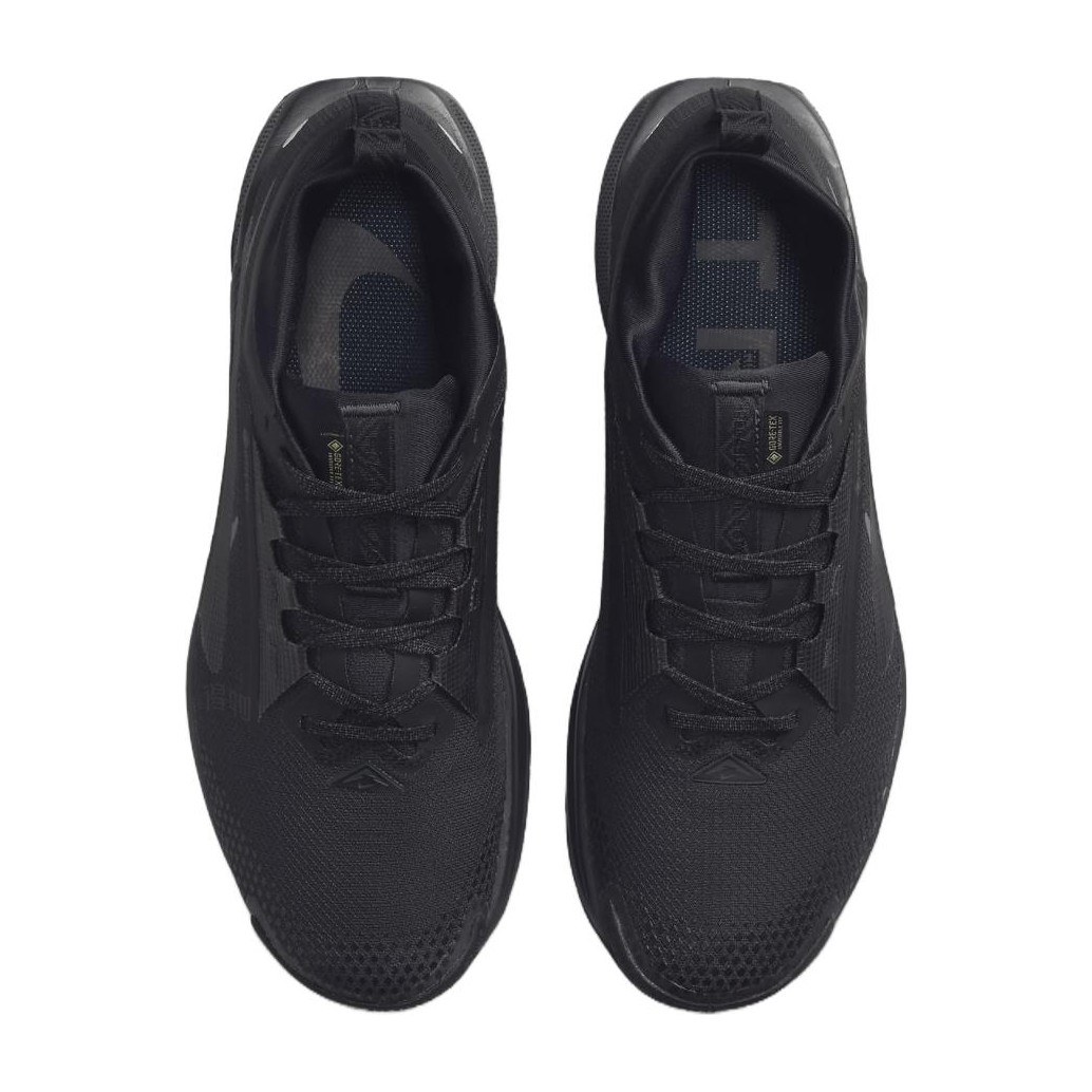 Nike Pegasus Trail 5 GORE-TEX