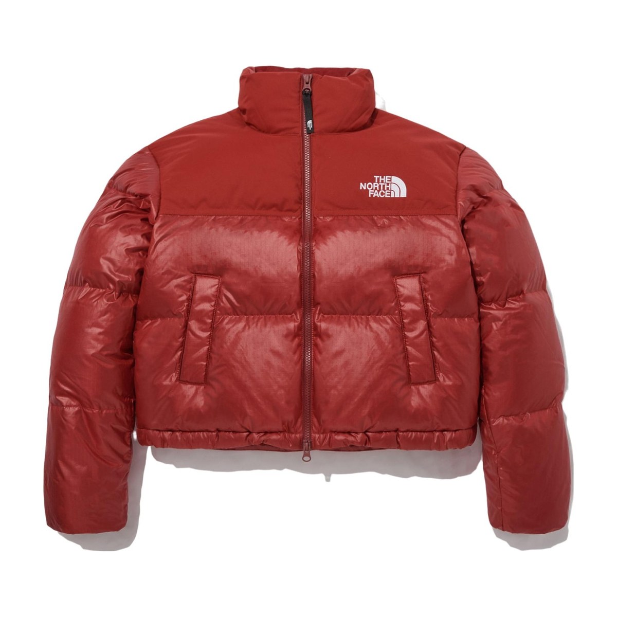 The North Face Novelty Nuptse Down Jacket