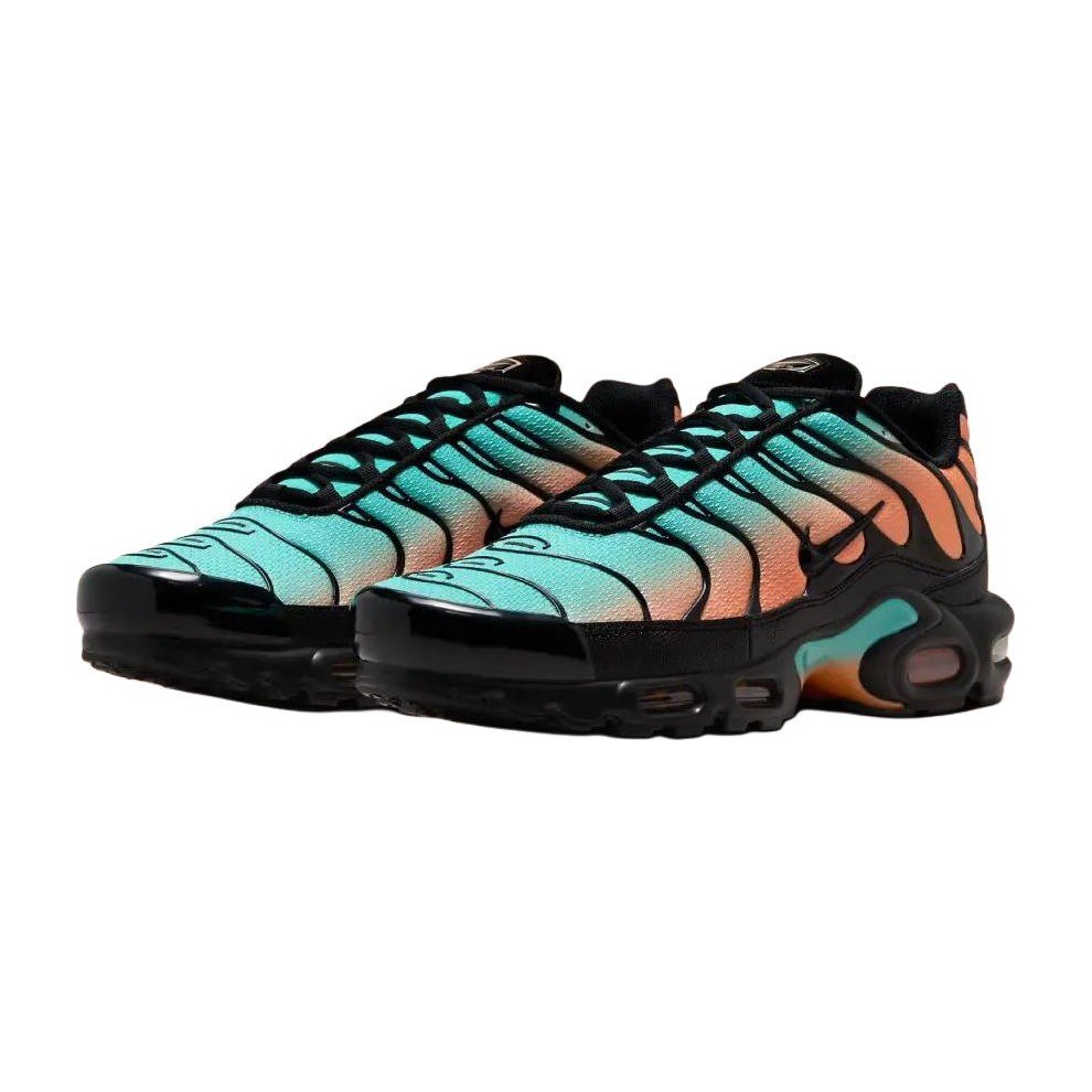 Nike Air Max Plus "South Florida"