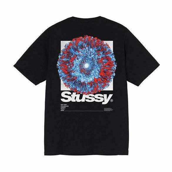 Stussy Young Organics Tee