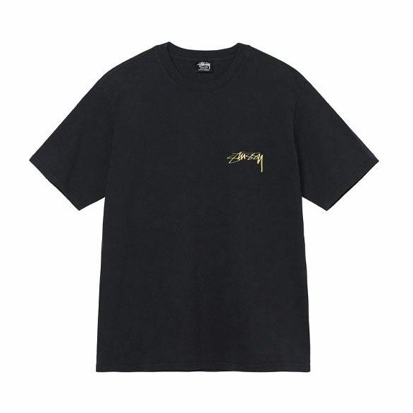 Stussy Statue Pig Dyed Tee