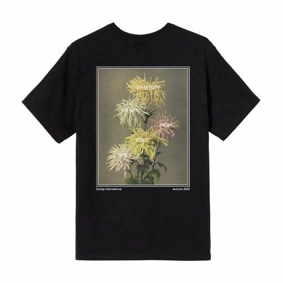 Stussy Dahlia
