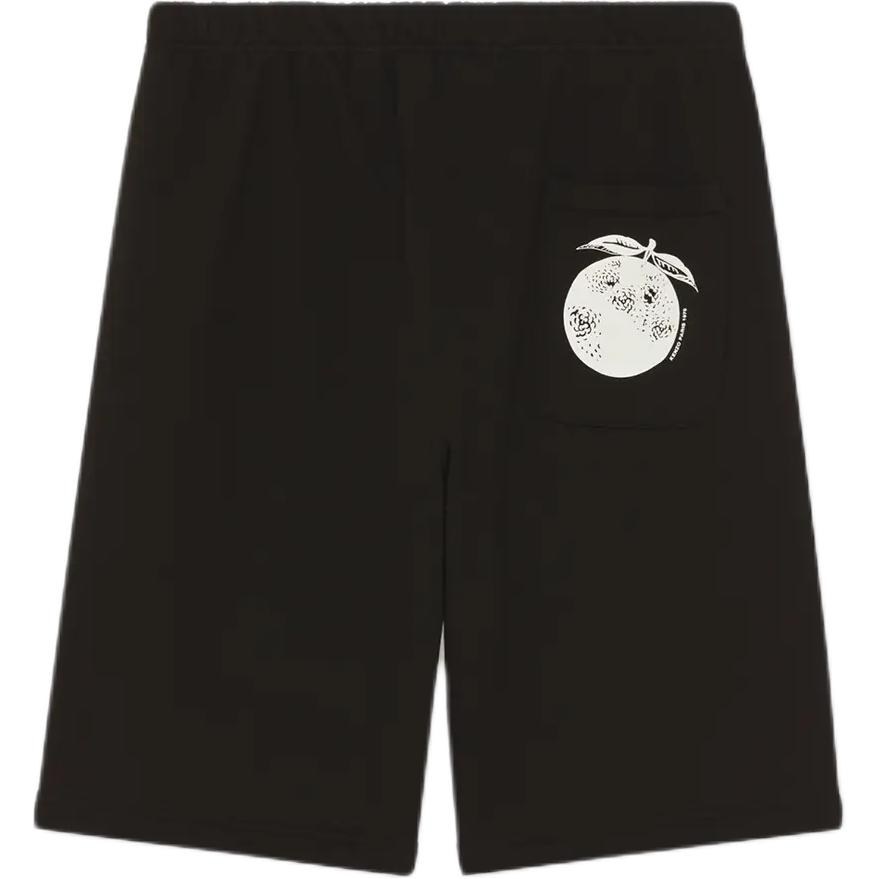 KENZO