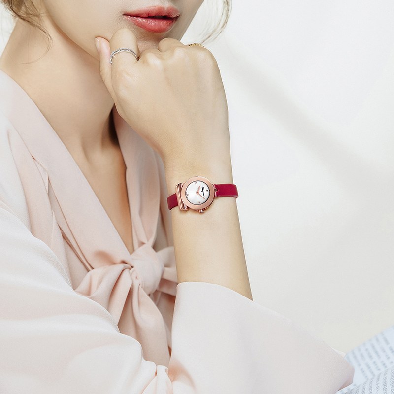 Ferragamo F43020017