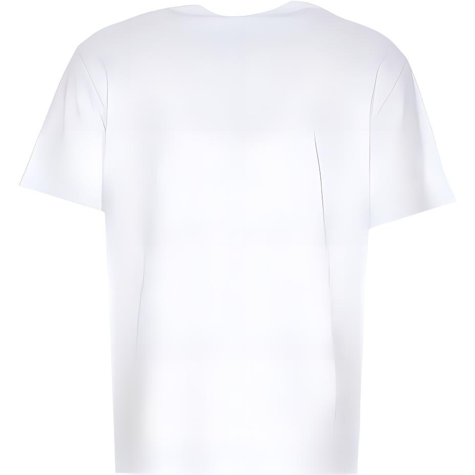 Alexander McQueen T