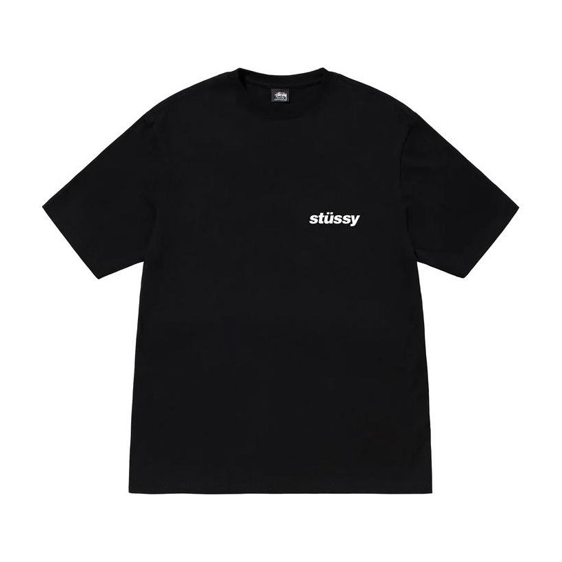Stussy Popsicle Tee