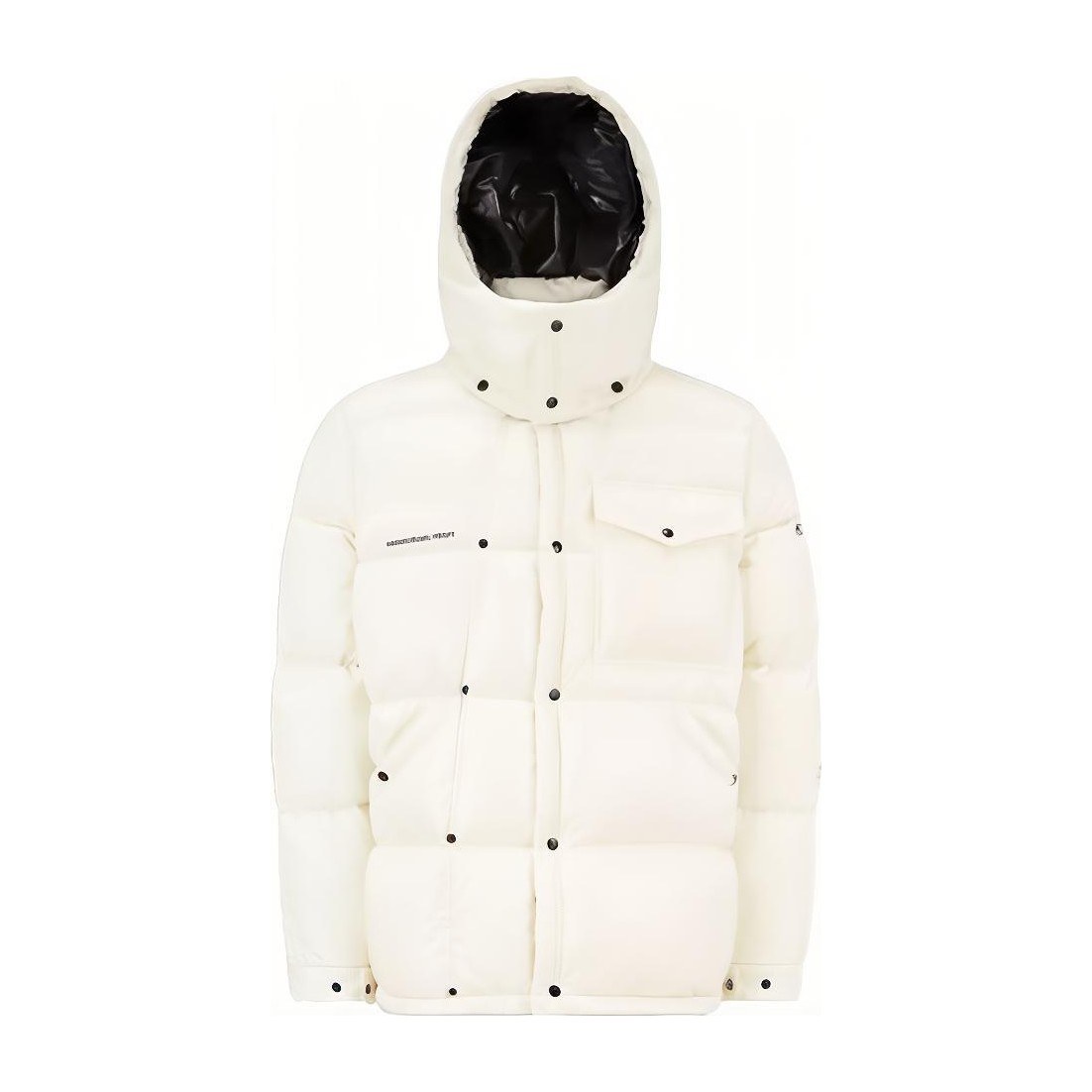 MONCLER GENIUS x FRGMT FW22 Anthemmium