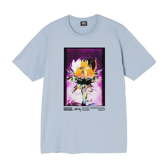 Stussy Young Organics Tee