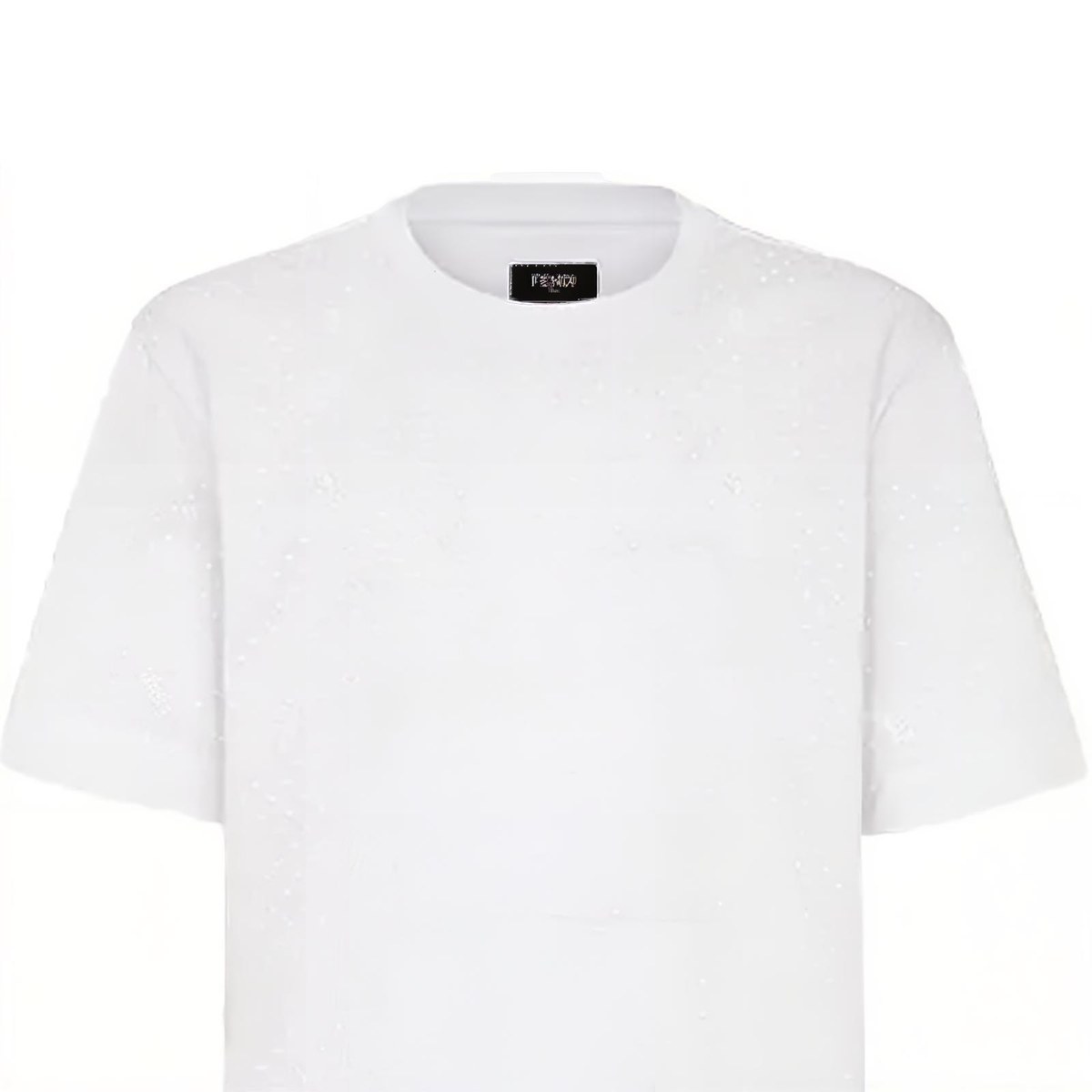 FENDI FW21 T