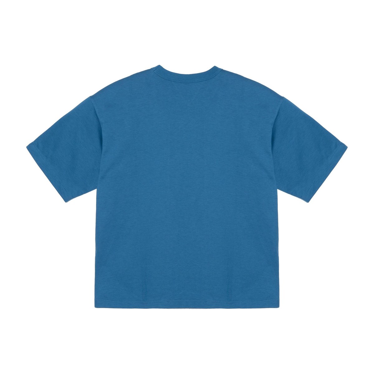Bottega Veneta T