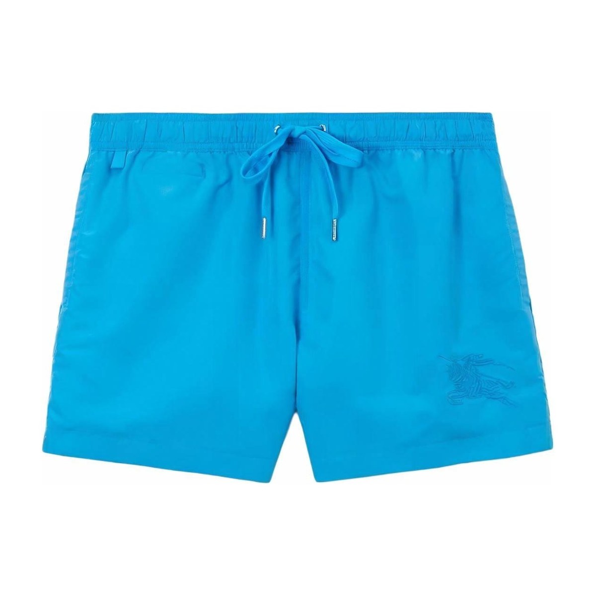 Burberry Swim Shorts