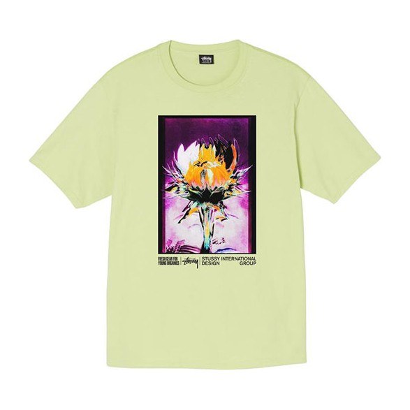 Stussy Young Organics Tee