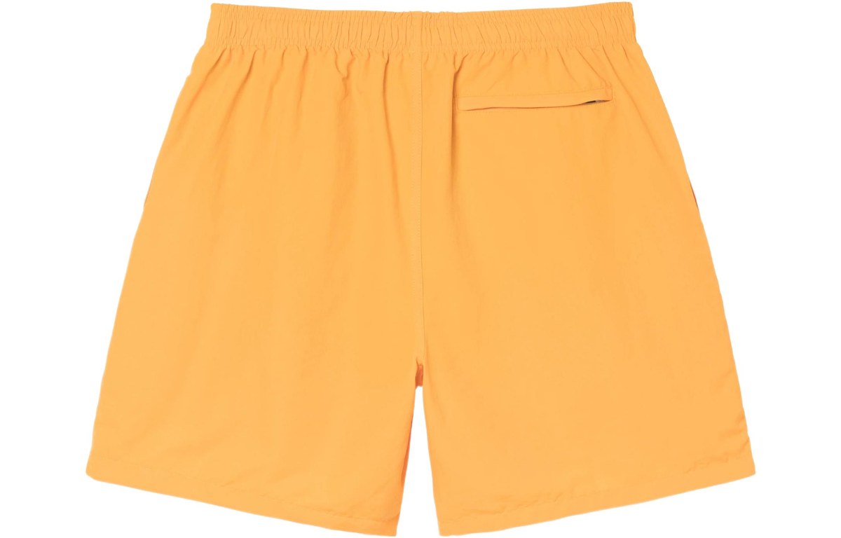 Stussy SS22 Logo Curly S Water Short