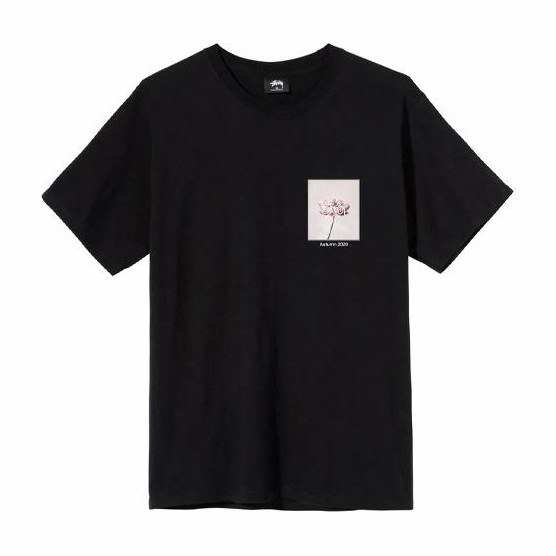 Stussy Dahlia