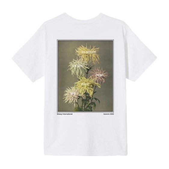 Stussy Dahlia
