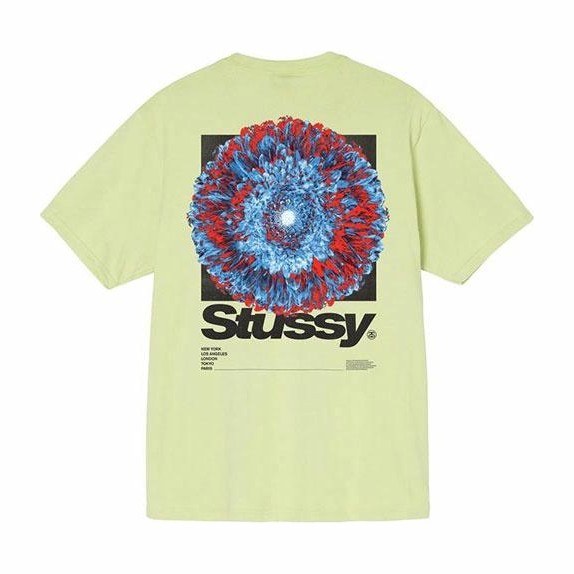 Stussy Young Organics Tee
