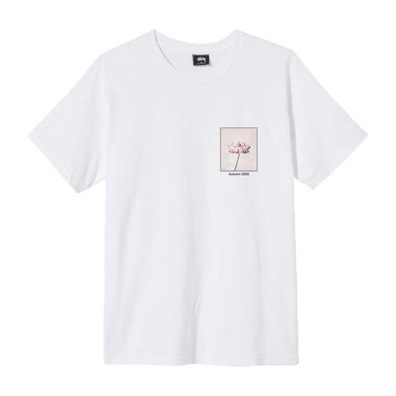 Stussy Dahlia