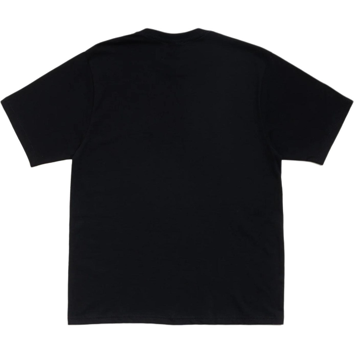 Stussy SS26 CITRUS TEE T