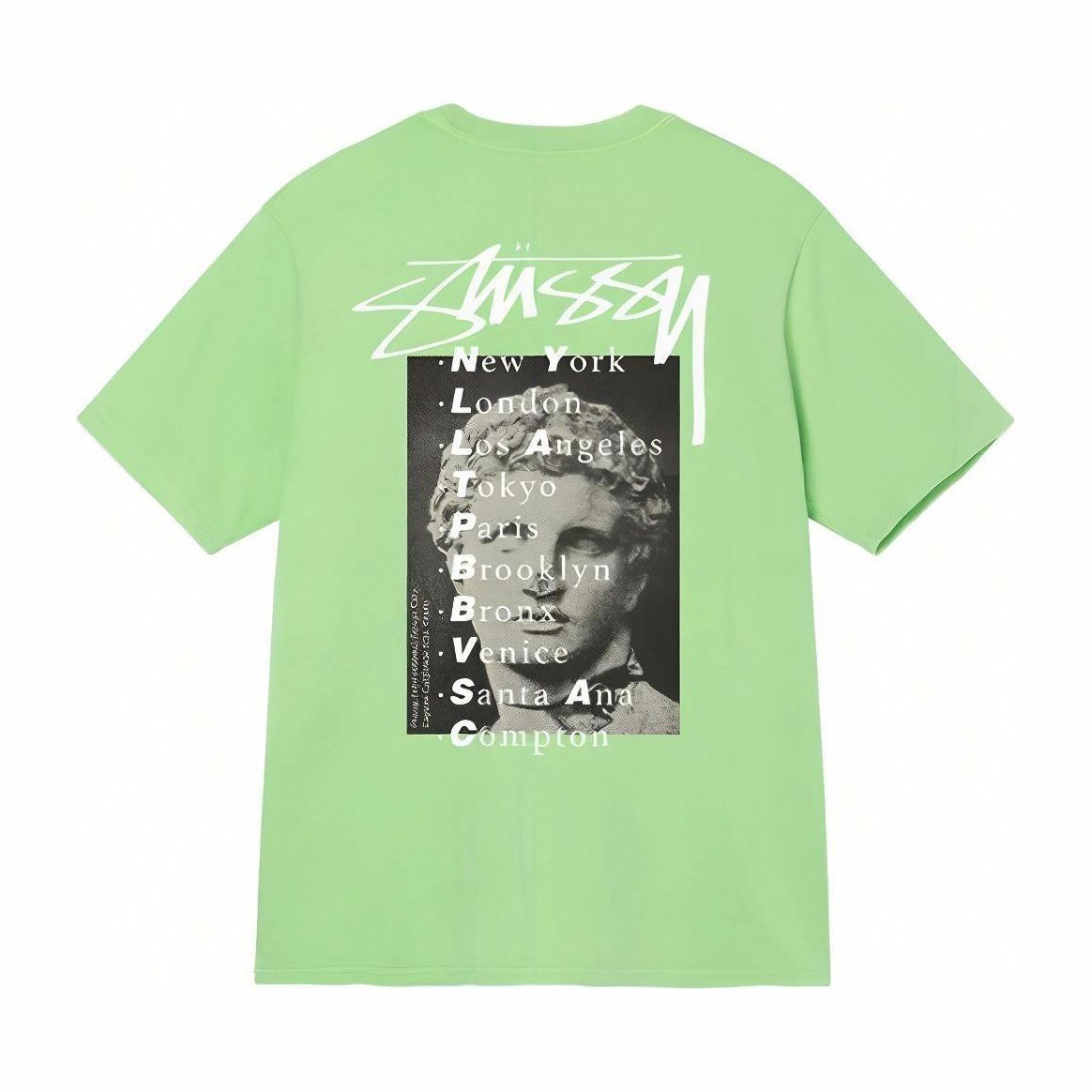 Stussy Statue Pig Dyed Tee
