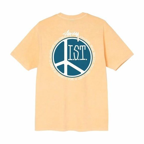 Stussy Peace Dot Pigment Dyed Tee