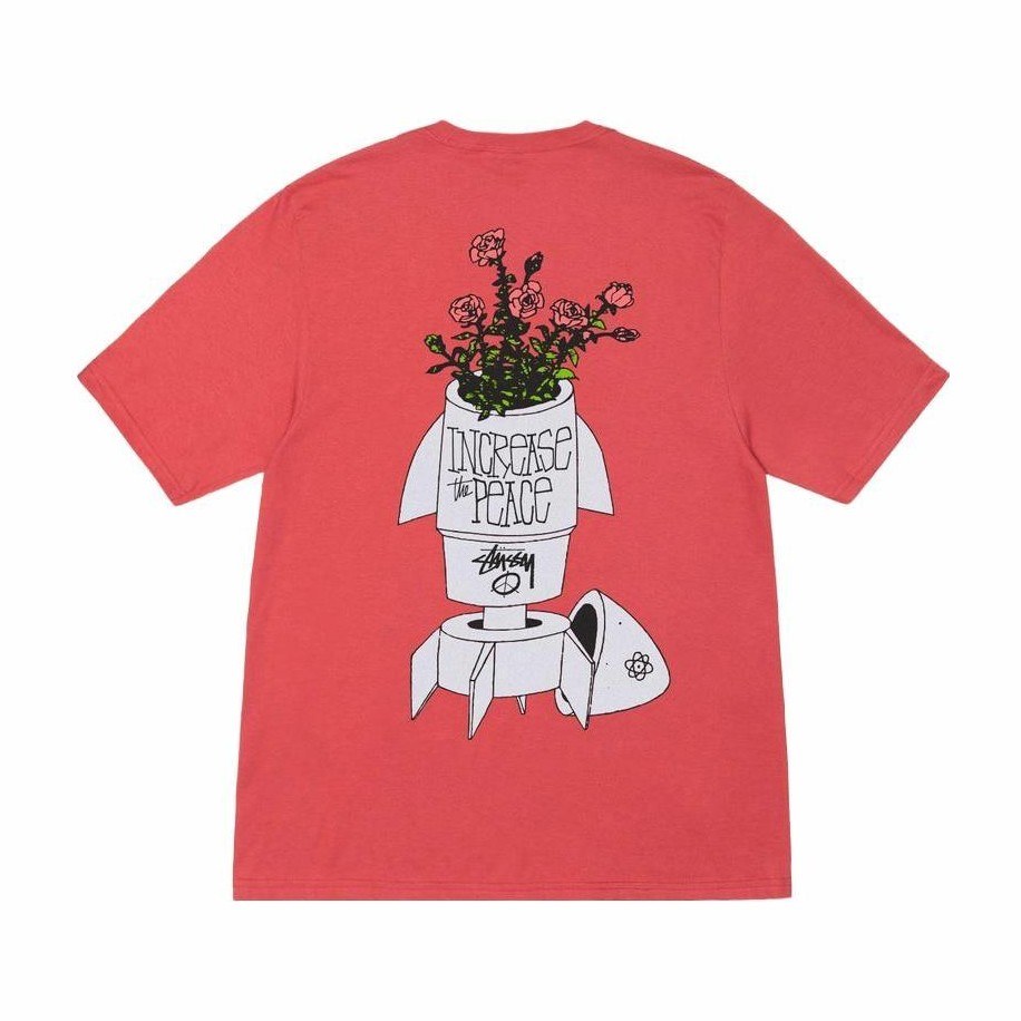 Stussy FW23 FLOWER BOMB TEE T