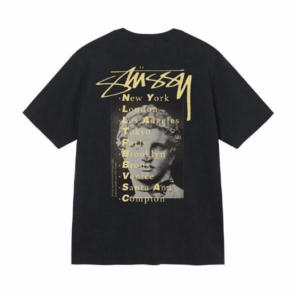 Stussy Statue Pig Dyed Tee