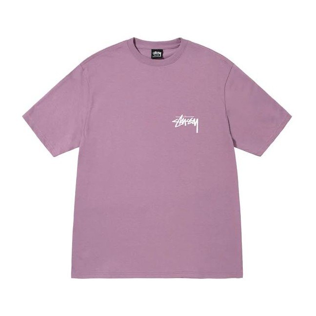 Stussy Coastline Tee