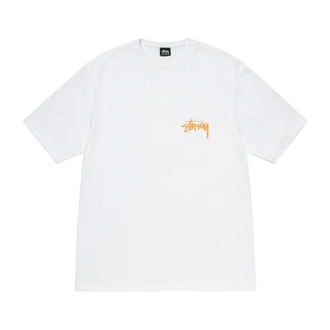 Stussy Coastline Tee