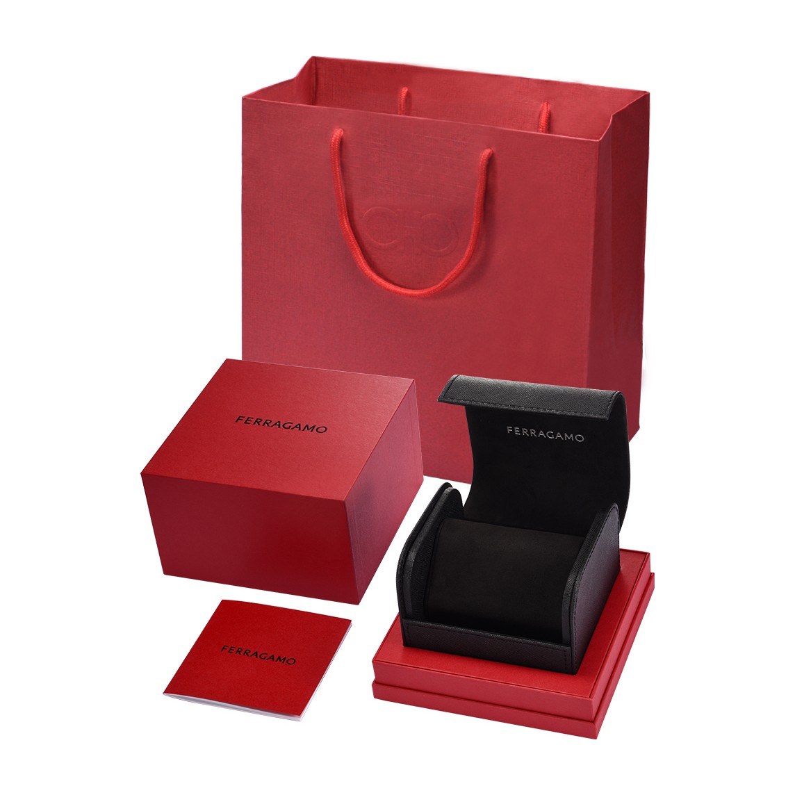 Ferragamo Watch