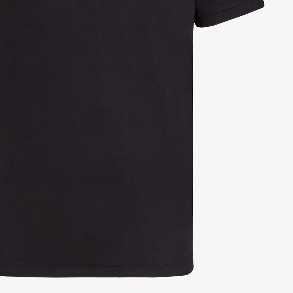 FENDI T