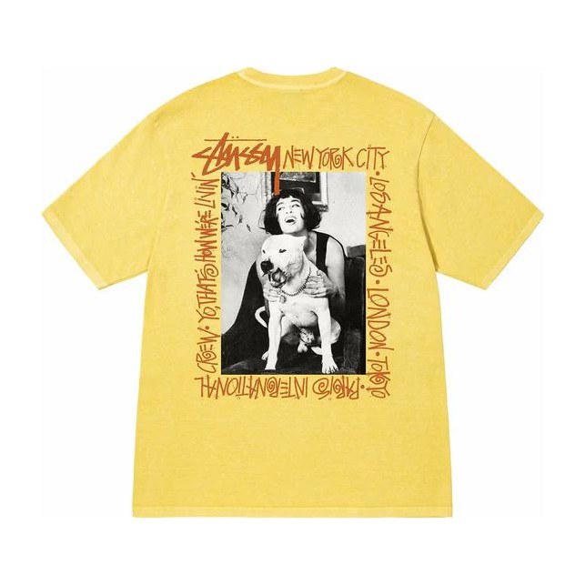 Stussy FW22 How We're livin' T