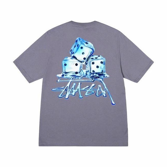 Stussy SS23 Ice Print Tee