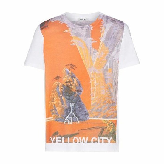 Valentino x Roger Dean T