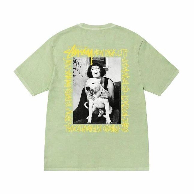 Stussy FW22 How We're livin' T