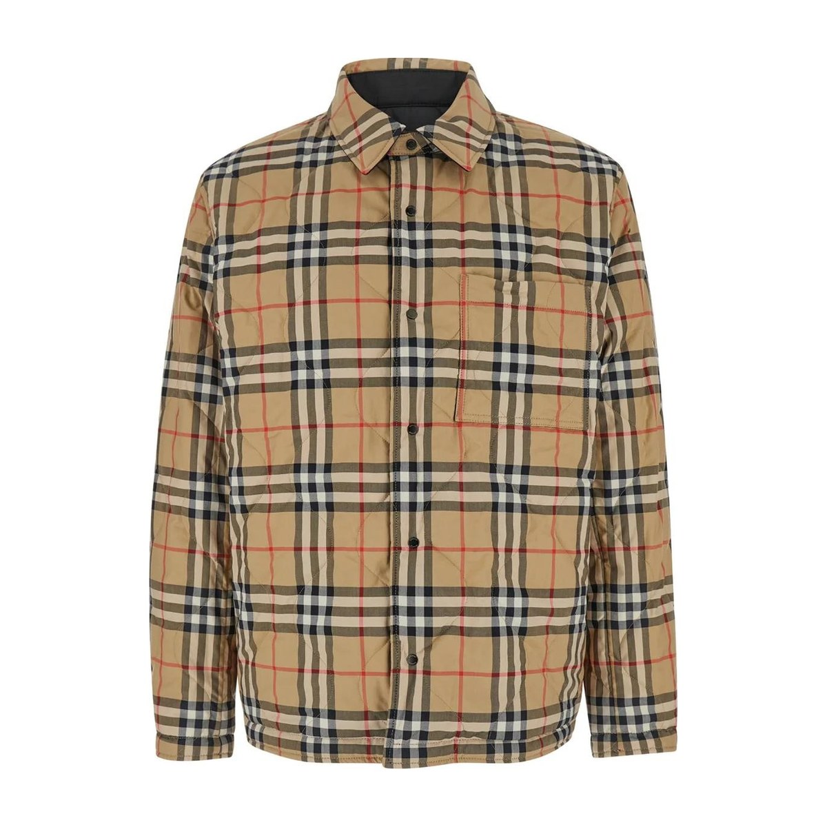 Burberry Jacket