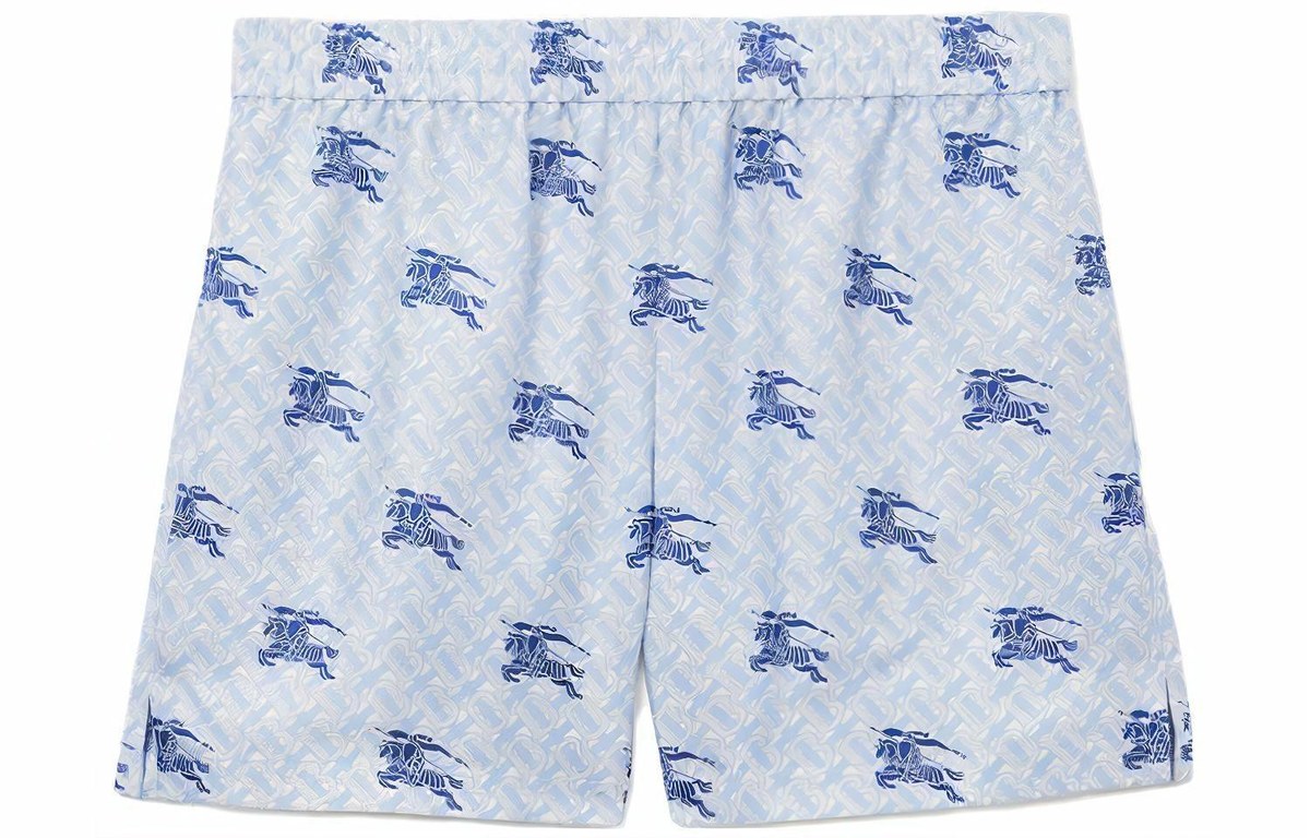 Burberry SS23 Blue Shorts