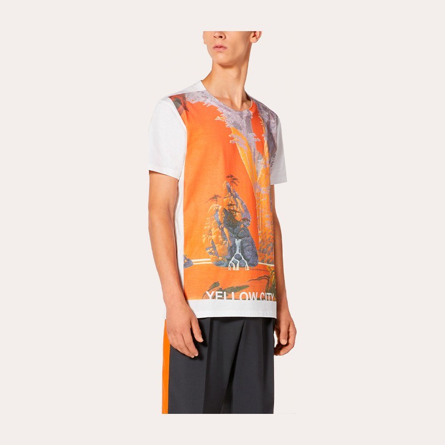Valentino x Roger Dean T