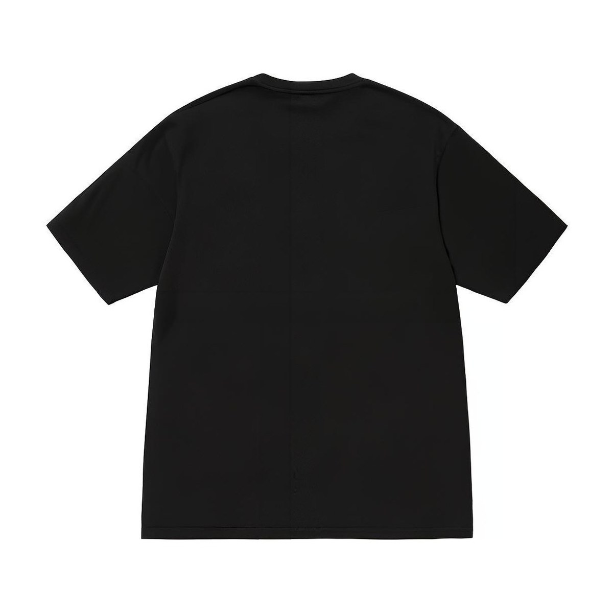 Stussy SS23 Champion Pigment Dyed Tee LogoT