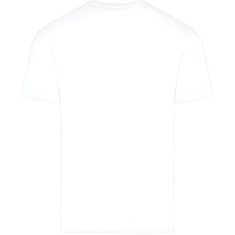 STONE ISLAND T