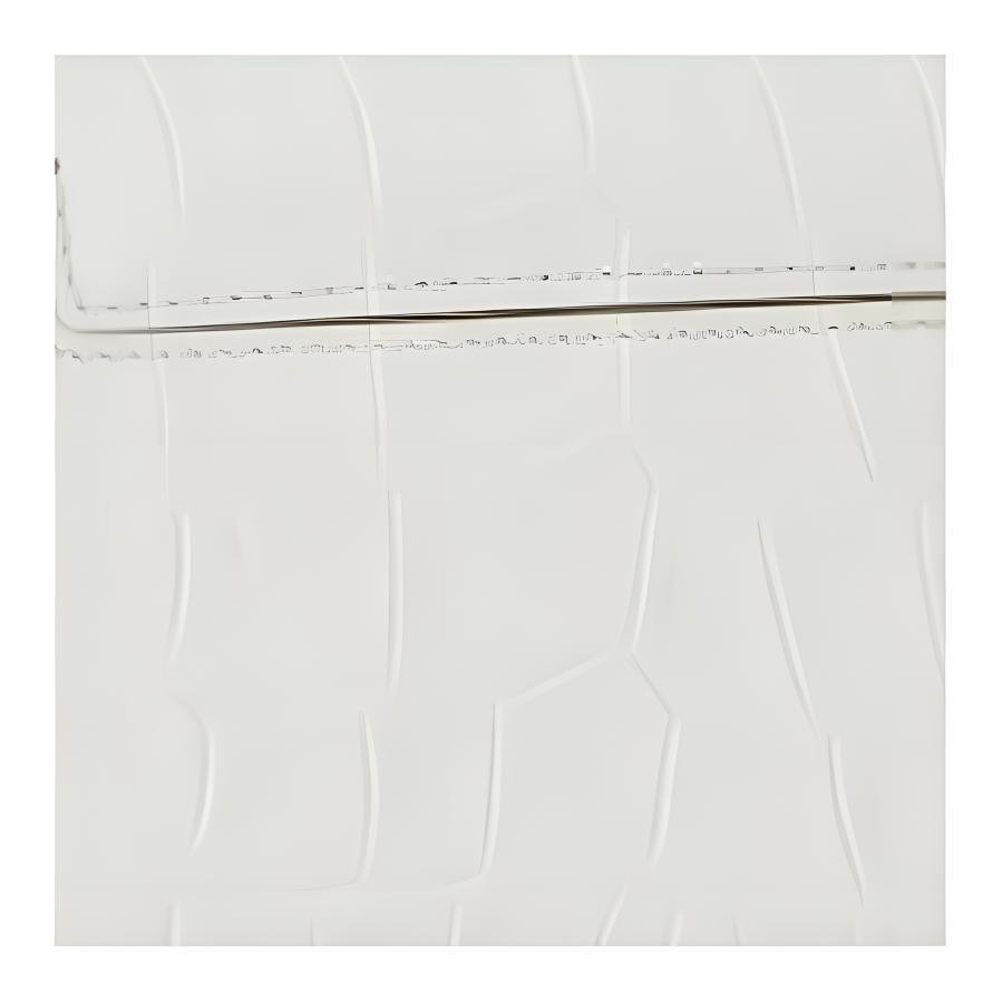 TF Crossbody Bag White