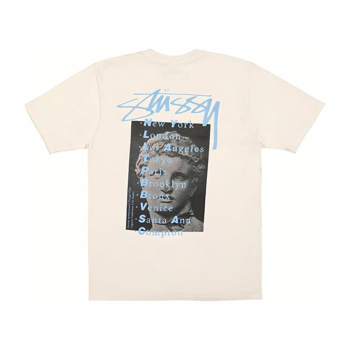 Stussy Statue Pig Dyed Tee