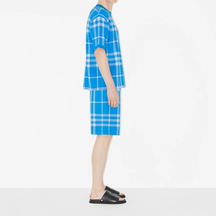 Burberry SS23 Blue Shorts
