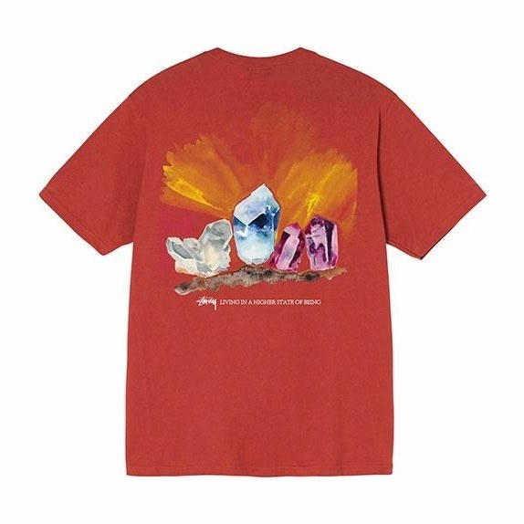 Stussy Higher State Tee