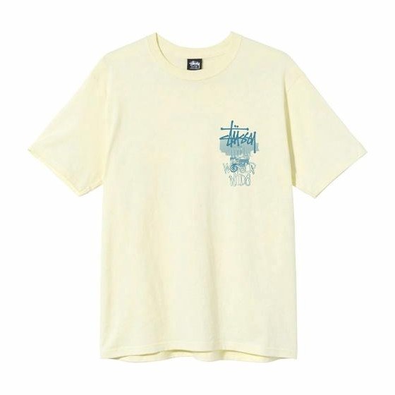 Stussy Ruins Tee